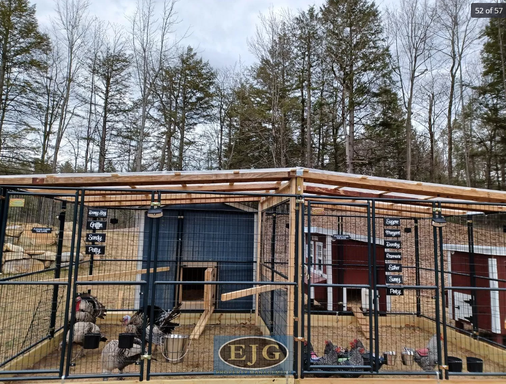 51